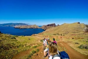 Full Day Ponta de São Lourenço - Natural Reserve