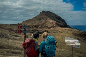 Journée entière Ponta de São Lourenço - Réserve naturelle