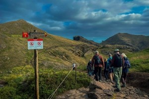 Journée entière Ponta de São Lourenço - Réserve naturelle