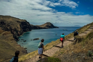 Journée entière Ponta de São Lourenço - Réserve naturelle