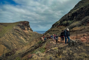 Journée entière Ponta de São Lourenço - Réserve naturelle