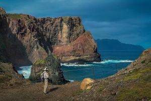 Journée entière Ponta de São Lourenço - Réserve naturelle