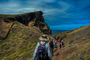 Journée entière Ponta de São Lourenço - Réserve naturelle