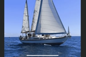 Privat charter hele dagen