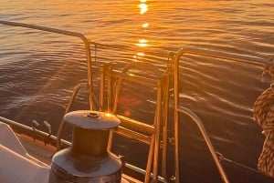 Privat charter hele dagen