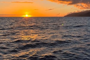 Privat charter hele dagen