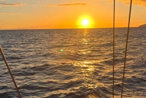 Privat charter hele dagen