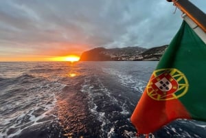 Privat charter hele dagen