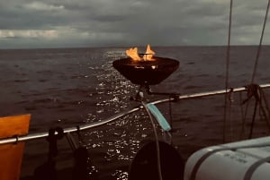 Privat charter hele dagen