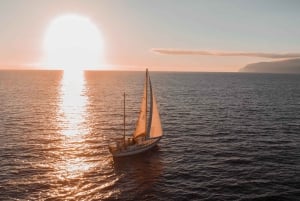 Privat charter hele dagen