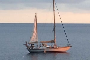 Privat charter hele dagen