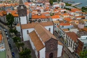 Funchal : 1 hour City Tour by Tuk-Tuk