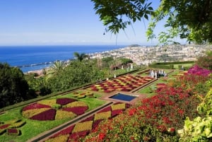 Funchal: Hop-On Hop-Off Bus Tour