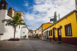 Funchal: Hop-On Hop-Off Bus Tour