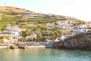 Funchal: Hop-On Hop-Off Bus Tour