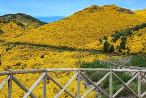 Funchal: 4x4 Jeep-tur til øst og nordøst for Madeira