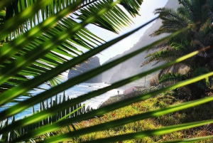 Funchal: 4x4 Jeep-tur til øst og nordøst for Madeira