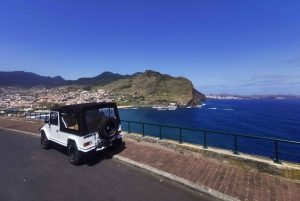 Funchal: 4x4 Jeep-tur til øst og nordøst for Madeira