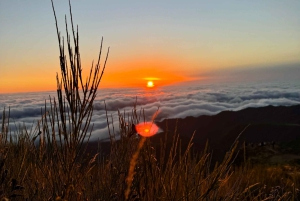 Funchal: 4x4 Jeep-tur til øst og nordøst for Madeira