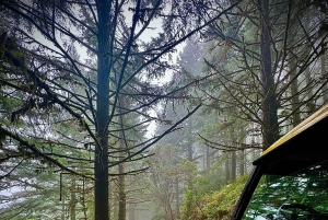 Funchal: 4x4 Jeep-tur til øst og nordøst for Madeira