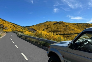 Funchal: 4x4 Jeep-tur til øst og nordøst for Madeira