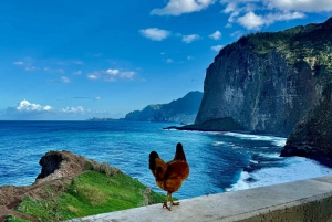 Funchal: 4x4 Jeep-tur til øst og nordøst for Madeira