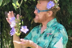 Funchal: passeggiata in un giardino tropicale segreto