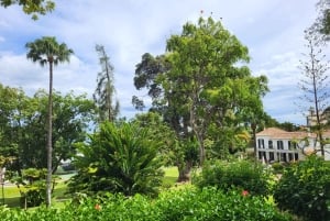 Funchal: passeggiata in un giardino tropicale segreto