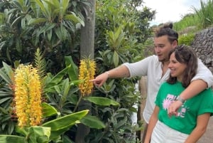 Funchal: passeggiata in un giardino tropicale segreto