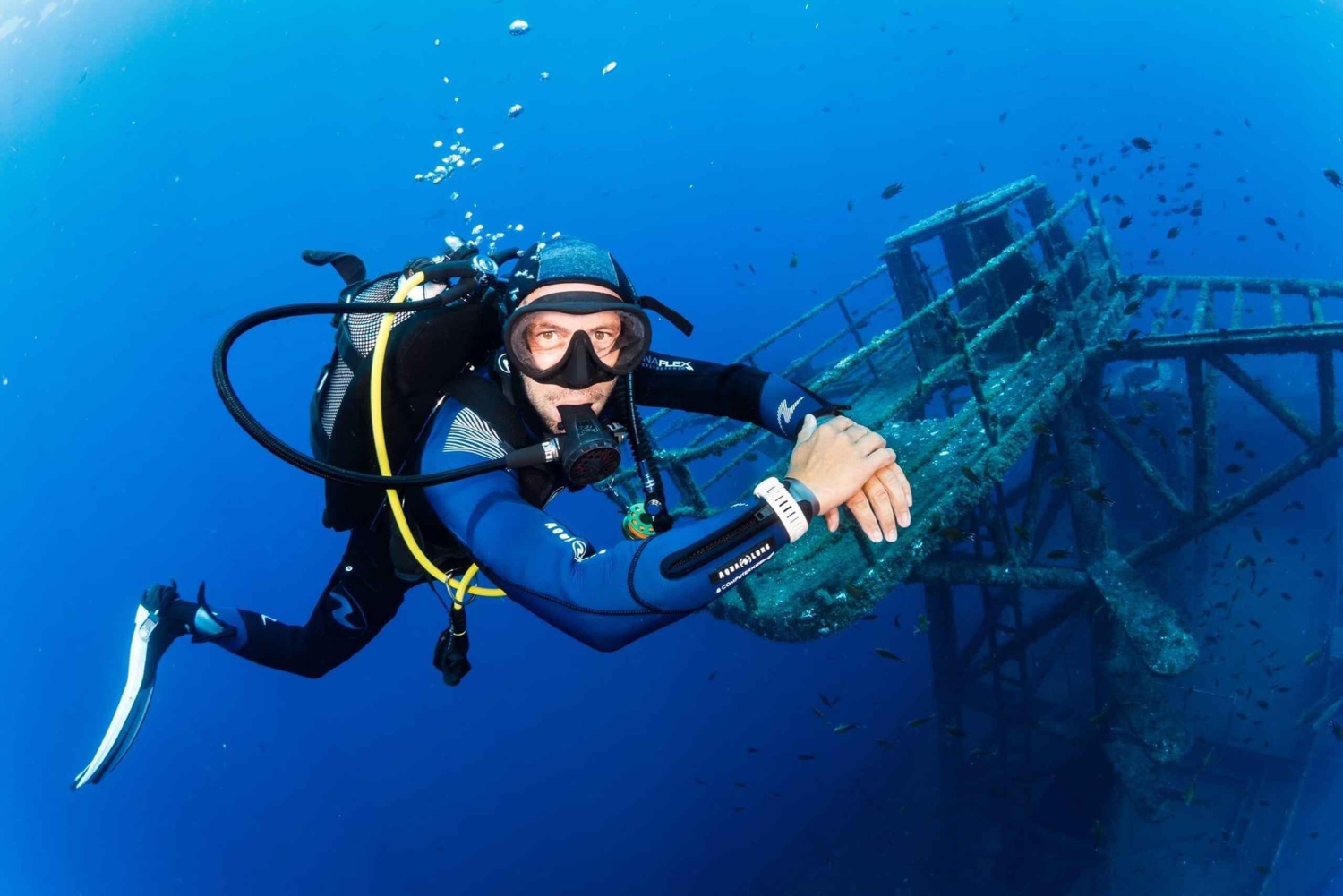 フンシャル: 高度なスキューバ ダイビング アフォンソ セルケイラ レック