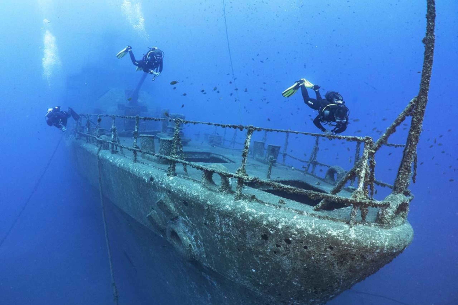 フンシャル: 高度なスキューバ ダイビング アフォンソ セルケイラ レック