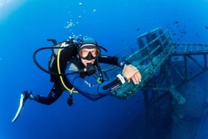 フンシャル: 高度なスキューバ ダイビング アフォンソ セルケイラ レック