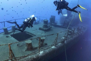 フンシャル: 高度なスキューバ ダイビング アフォンソ セルケイラ レック