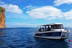 フンシャル: 高度なスキューバ ダイビング アフォンソ セルケイラ レック