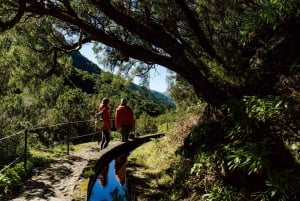 From Funchal/Caniço: Rabaçal Hike (25 Fontes) Bus Transfer