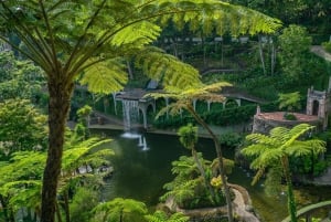 Funchal and Monte Palace Tour: An Unforgettable Experience