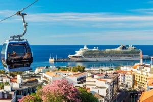 Funchal and Monte Palace Tour: An Unforgettable Experience