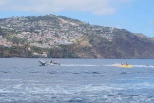 Funchal : Banana Boat Experience