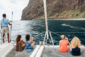 Funchal Bay: Dolphin & Whale Watch Luxury Catamaran Cruise