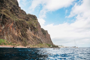 Funchal Bay: Dolphin & Whale Watch Luxury Catamaran Cruise