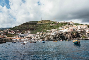 Funchal Bay: Dolphin & Whale Watch Luxury Catamaran Cruise