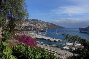 Funchal: Parhaat näköalapaikat Opastettu Tuk Tuk -kierros