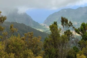 Madeira: Bica da Cana to Encumeada Private Hike with Pickup