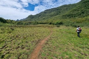 Madeira: Bica da Cana to Encumeada Private Hike with Pickup