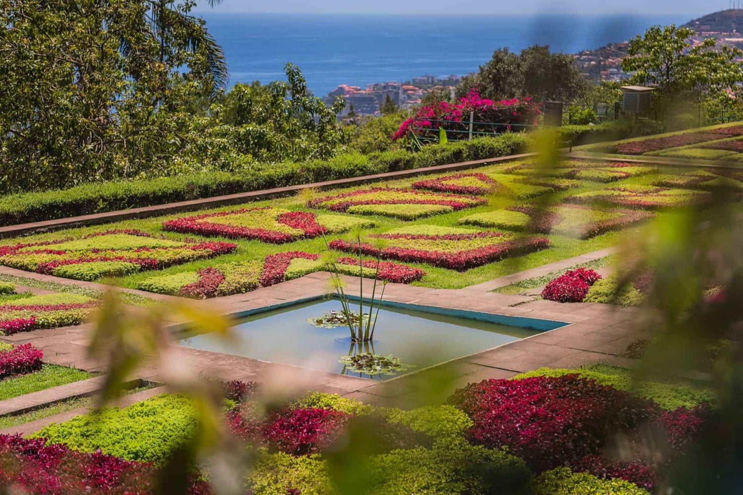 Funchal: Botaniska trädgården och Gamla stan Privat Tuk-Tuk Tour