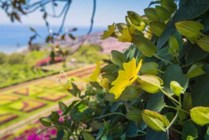 Funchal: Botaniska trädgården och Gamla stan Privat Tuk-Tuk Tour