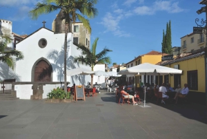 Funchal: Botaniska trädgården och Gamla stan Privat Tuk-Tuk Tour