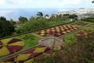 Funchal: Botanical Garden in a Tuk-Tuk Tour