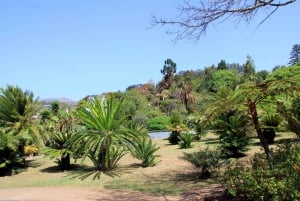 Funchal: Botanical Garden in a Tuk-Tuk Tour