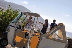 Funchal: Botaniska trädgården och rundtur i Gamla stan med TukTuk (1h45)